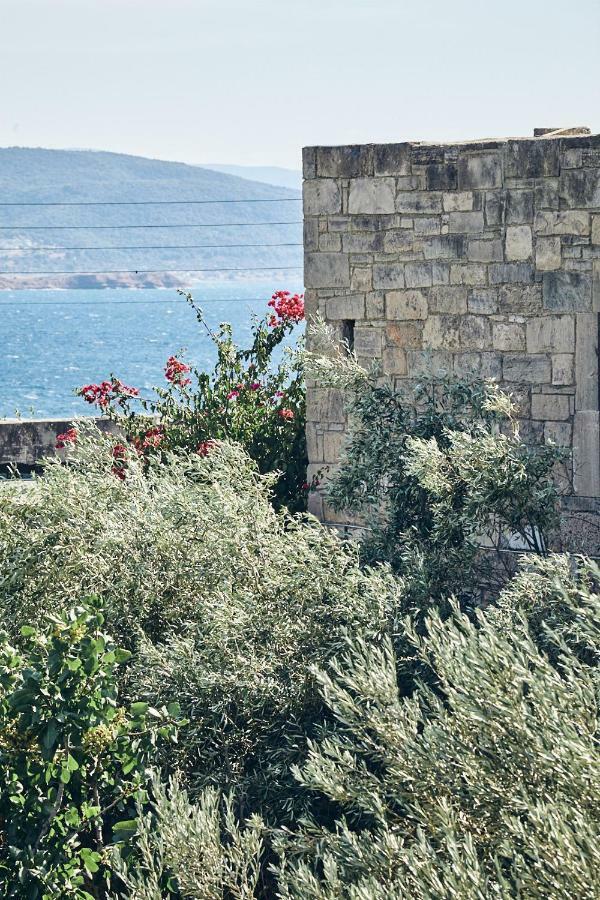 Nikolaou Art Residence Aegina Eksteriør bilde