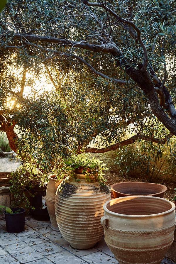Nikolaou Art Residence Aegina Eksteriør bilde