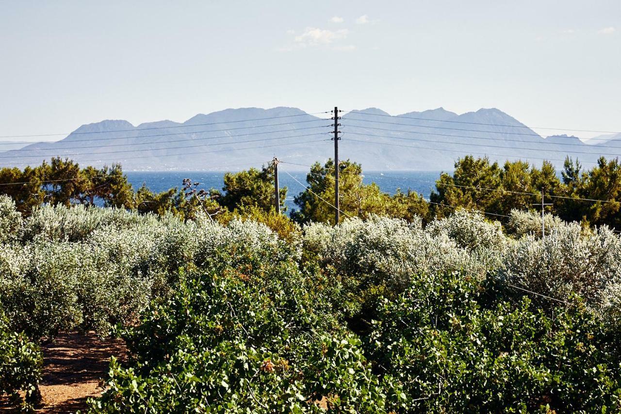 Nikolaou Art Residence Aegina Eksteriør bilde